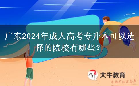 廣東2024年成人高考專升本可以選擇的院校有哪些？