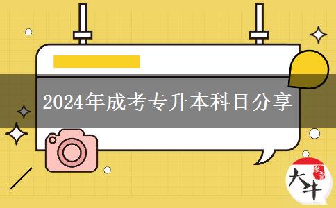 2024年成考專升本科目分享 2024年成考專升本科目分享