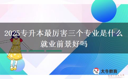 2025專(zhuān)升本最厲害三個(gè)專(zhuān)業(yè)是什么 就業(yè)前景好嗎
