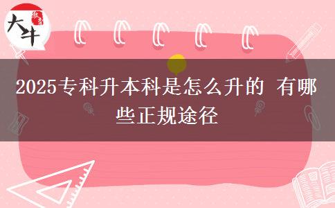 2025?？粕究剖窃趺瓷?有哪些正規(guī)途徑