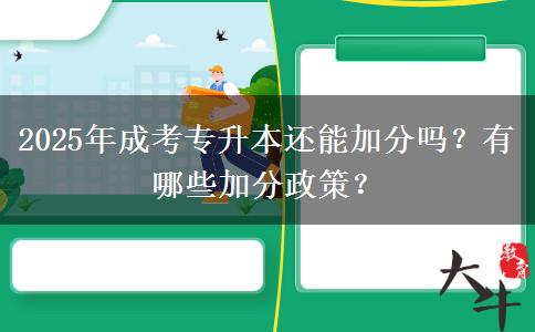2025年成考專升本還能加分嗎？有哪些加分政策？