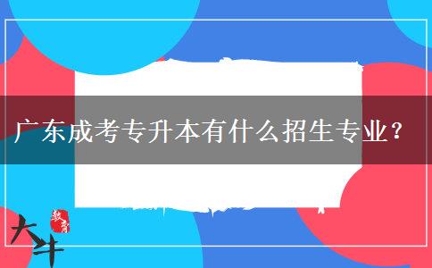 廣東成考專升本有什么招生專業(yè)？