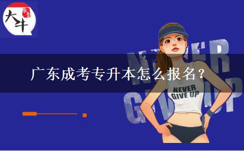 廣東成考專(zhuān)升本怎么報(bào)名？