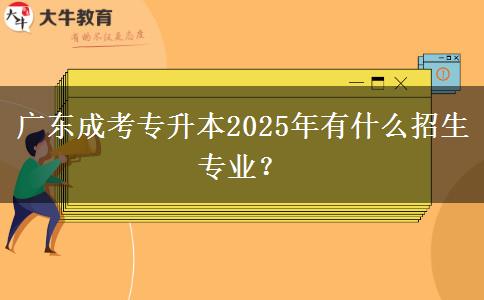 廣東成考專升本2025年有什么招生專業(yè)？