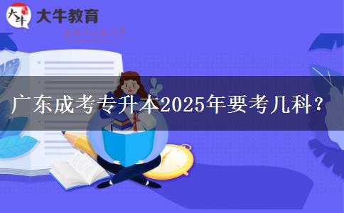 廣東成考專升本2025年要考幾科？