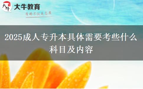 2025成人專升本具體需要考些什么科目及內容