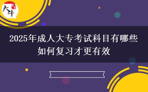 2025年成人大?？荚嚳颇坑心男?如何復(fù)習(xí)才更有效