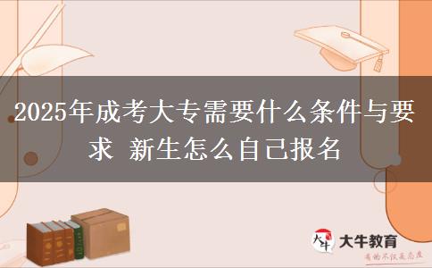 2025年成考大專需要什么條件與要求 新生怎么自己報(bào)名