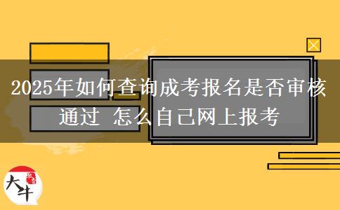 2025年如何查詢成考報(bào)名是否審核通過(guò) 怎么自己網(wǎng)上報(bào)考