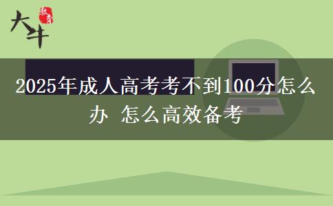 2025年成人高考考不到100分怎么辦 怎么高效備考