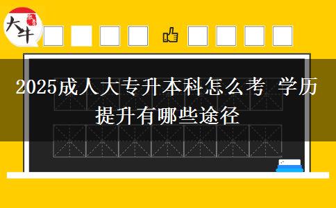 2025成人大專升本科怎么考 學(xué)歷提升有哪些途徑
