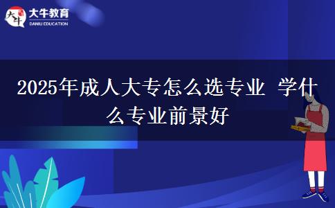 2025年成人大專怎么選專業(yè) 學(xué)什么專業(yè)前景好
