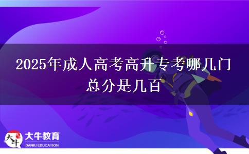 2025年成人高考高升?？寄膸组T 總分是幾百