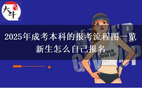 2025年成考本科的報(bào)考流程圖一覽 新生怎么自己報(bào)名