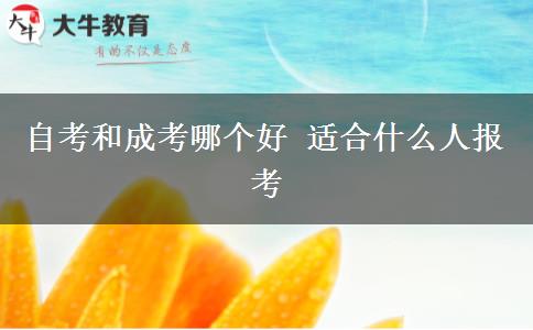 自考和成考哪個好 適合什么人報考
