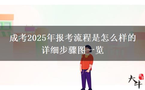 成考2025年報(bào)考流程是怎么樣的 詳細(xì)步驟圖一覽