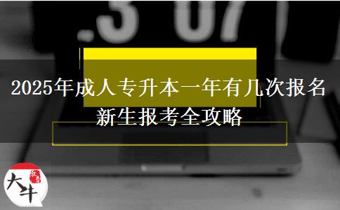 2025年成人專升本一年有幾次報(bào)名 新生報(bào)考全攻略