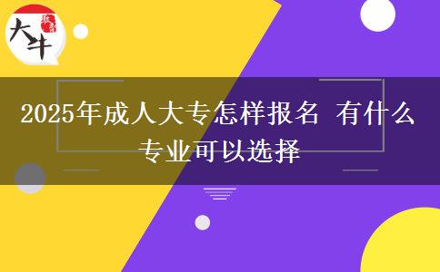 2025年成人大專怎樣報(bào)名 有什么專業(yè)可以選擇