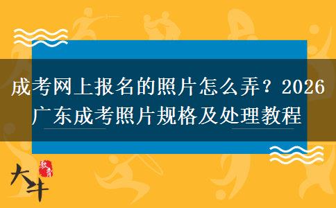 成考網(wǎng)上報(bào)名的照片怎么弄？2026 廣東成考照片規(guī)格及處理教程