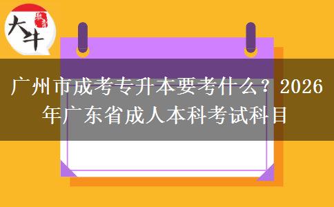 廣州市成考專升本要考什么？2026年廣東省成人本科考試科目