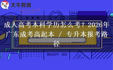 成人高考本科學(xué)歷怎么考？2026年廣東成考高起本 / 專(zhuān)升本報(bào)考路徑