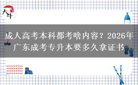 成人高考本科都考啥內(nèi)容？2026年廣東成考專升本要多久拿證書