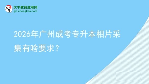 2026年廣州成考專升本相片采集有啥要求？圖片