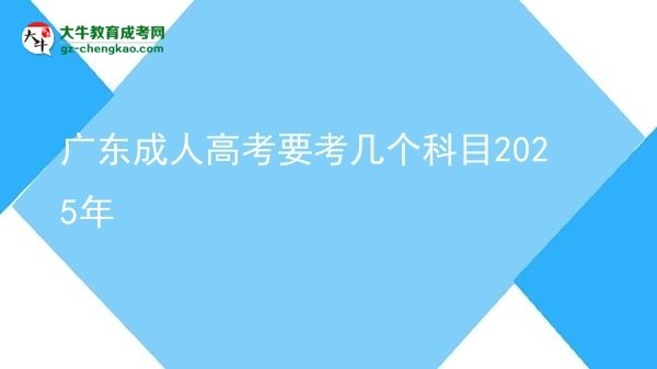 廣東成人高考要考幾個科目2025年圖片