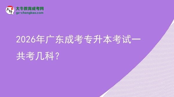 2026年廣東成考專升本考試一共考幾科？圖片